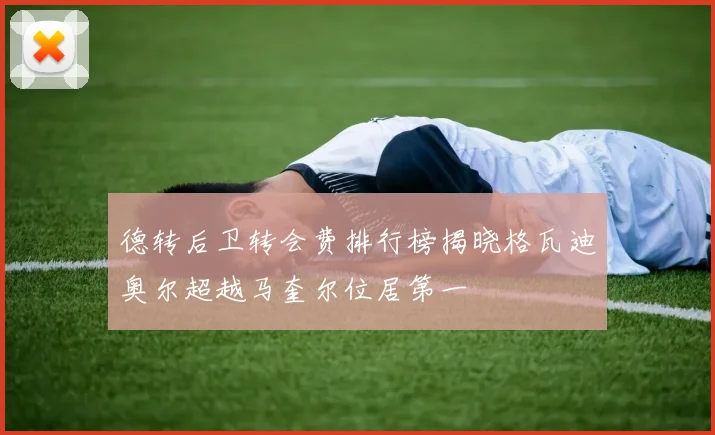 德转后卫转会费排行榜揭晓格瓦迪奥尔超越马奎尔位居第一